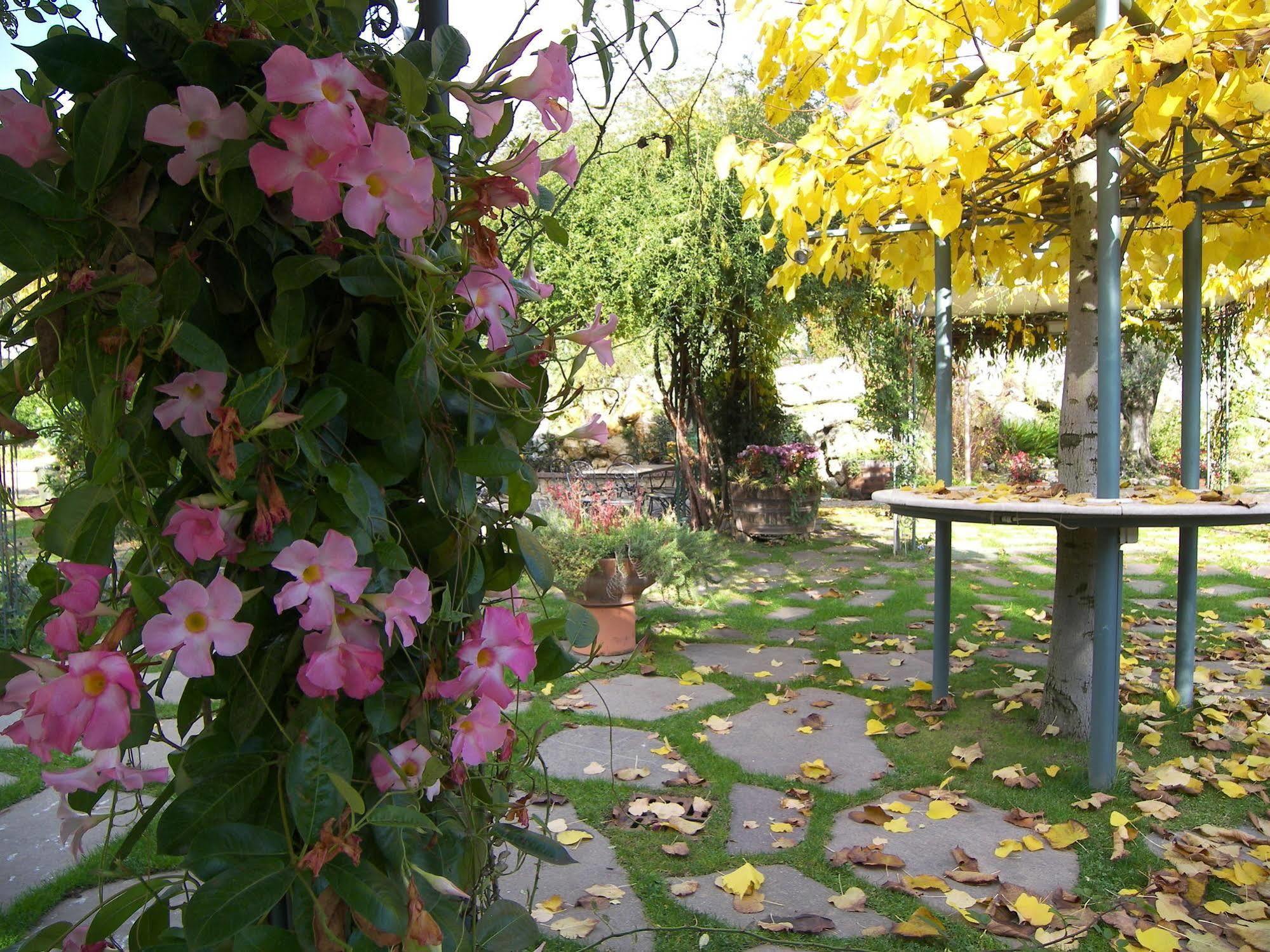 Hotel Des Reves Sant'Elia Fiumerapido Luaran gambar